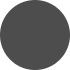 Polarized Plastic Sunglass 1.56 Index Lens